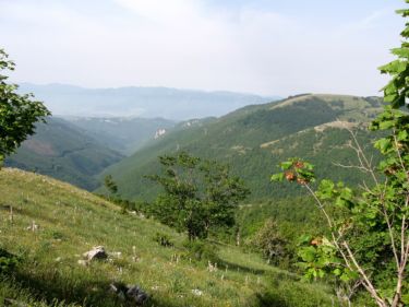 http://www.trekking-tiburzi.it/Imag_Polino/Polino_Mg07-755.JPG
