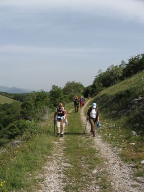 http://www.trekking-tiburzi.it/Imag_Polino/Polino_Mg07-754.JPG