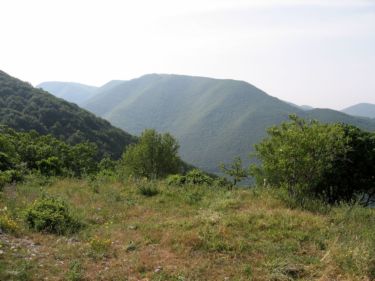 http://www.trekking-tiburzi.it/Imag_Polino/Polino_Mg07-756.JPG