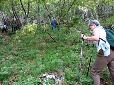 http://www.trekking-tiburzi.it/Imag_Polino/Polino_Mg07-779.JPG