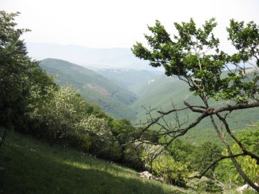 http://www.trekking-tiburzi.it/Imag_Polino/Polino_Mg07-777.JPG