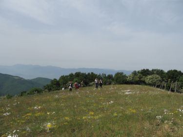 http://www.trekking-tiburzi.it/Imag_Polino/Polino_Mg07-787.JPG