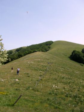 http://www.trekking-tiburzi.it/Imag_Polino/Polino_Mg07-788.JPG