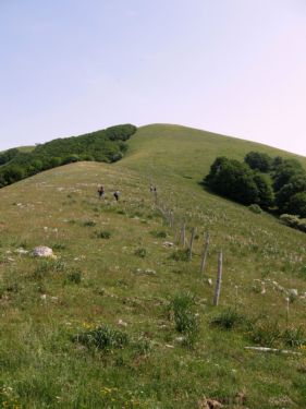 http://www.trekking-tiburzi.it/Imag_Polino/Polino_Mg07-790.JPG