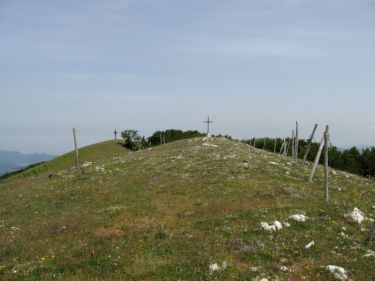 http://www.trekking-tiburzi.it/Imag_Polino/Polino_Mg07-793.JPG