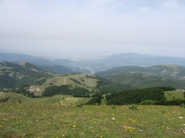 http://www.trekking-tiburzi.it/Imag_Polino/Polino_Mg07-840.JPG