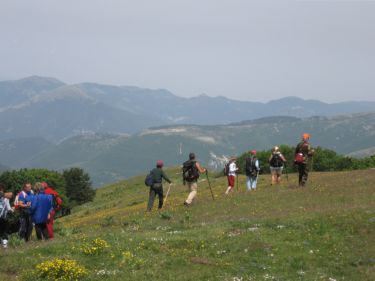 http://www.trekking-tiburzi.it/Imag_Polino/Polino_Mg07-842.JPG
