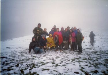 http://www.trekking-tiburzi.it/Imag_Polino/LaPelosa_110504-5.jpg