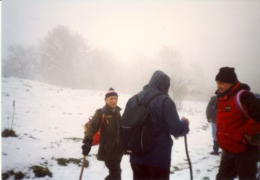 http://www.trekking-tiburzi.it/Imag_Polino/LaPelosa_110504-7.jpg